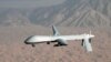 Predator drone