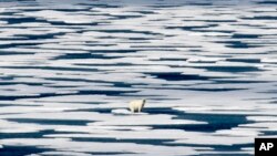 A polar bear stands on the ice in the Franklin Strait in the Canadian Arctic Archipelago, July 22, 2017. 