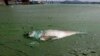 China’s Other Pollution Problem: Water