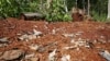 Cambodia’s Indigenous Groups Suffer Under Climate Change, Deforestation
