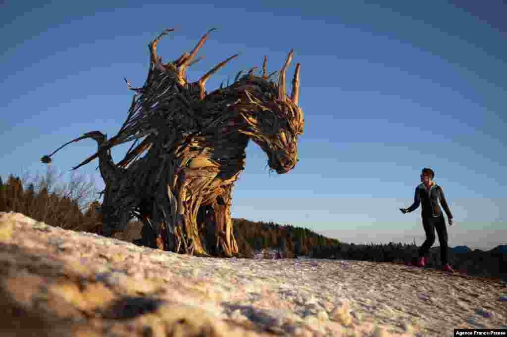 A woman walks near the "Vaia Dragon", a sculpture made by Italian artist Marco Martalar in Lavarone near Trento, Alps Region, Northeastern Italy, Dec. 13, 2021.