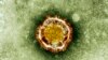 New SARS-like Virus Shows Person-to-Person Transmission