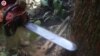 A Misleading Bolsonaro Tweet Overlooks Brazil’s Rising Deforestation