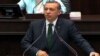 اردوغان با تعدادی از معترضین دیدار کرد 