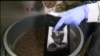 734 Coffee: Kopi untuk Bantu Pengungsi