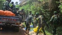Sango ya Mokili Lelo: Ba Codeco babomi bacivili pene na 30 na Ituri