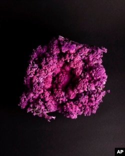 This undated image provided by All-America Selections shows Cauliflower Murasaki Fioretto 70 F1, an AAS-winning plant for 2025. (All-America Selections via AP)