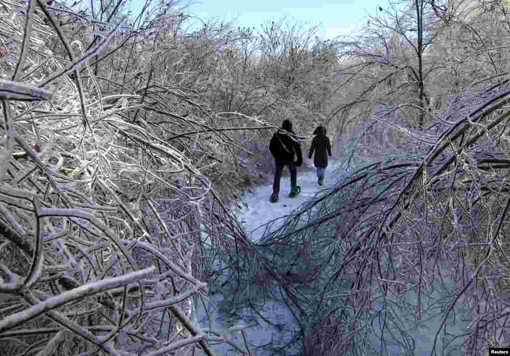 Warga berjalan di hutan yang diselimuti salju di taman Earl Bales setelah badai es melanda Toronto, Kanada.