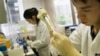 A lab officer carries out a DNA extraction from cells as part of a process to look for molecular markers containing cancer cells in a patient, April 20, 2007 in Singapore.