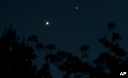 The planets Venus, left, and Jupiter, right, with three of its moons visible, appear close to each other in the sky above tree branches after dusk Wednesday, July 1, 2015, in Tacoma, Wash.
