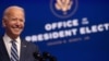VaJoe Biden 