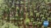 American NGO Unearths Mines in Vietnam to Make Farming Possible