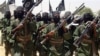UN Extends Arms Embargo on Somalia