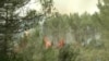 Artificial Intelligence Monitors and May Protect Firefighters 