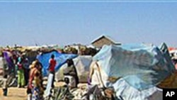Seca agravada na região do Corno de Africa obriga familias a emigrar para países vizinhos