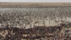 In Mali, Hot Weather Threatens Ancient Fishing Tradition