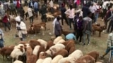 ከምሽቱ 3:00 የአማርኛ ዜና