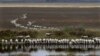 Researchers in Australia Develop a ‘Water Harvester’ 