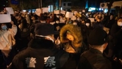 42名美國參議員警告中國不要暴力鎮壓抗議活動
