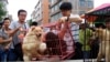 在中国广西玉林狗肉节前，动物保护活动人士从狗贩子手中买下将要被屠宰的狗(2014年6月20日)