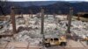 Forest Fire Insurance Costs Soar
