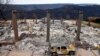 California Power Company to File for Bankruptcy Over Wildfire Liabilities