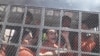 Activists Accused of ‘Insurrection’ Released on Bail
