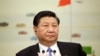 习近平致新年贺词 网友说“看哭了”