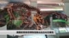 美国史密森尼博物馆推出远古化石展览