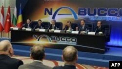 Vladimir Socor: 'AB Güney Akım Projesine Destek Vermiyor'