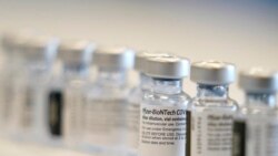 Udaba lokuhlatshwa kwentathelizindaba ijekiseni eyeCovid 19 Vaccine siluphiwa nguBathabile Masuku