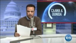 Caawa iyo Dunida