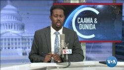 Caawa iyo Dunida