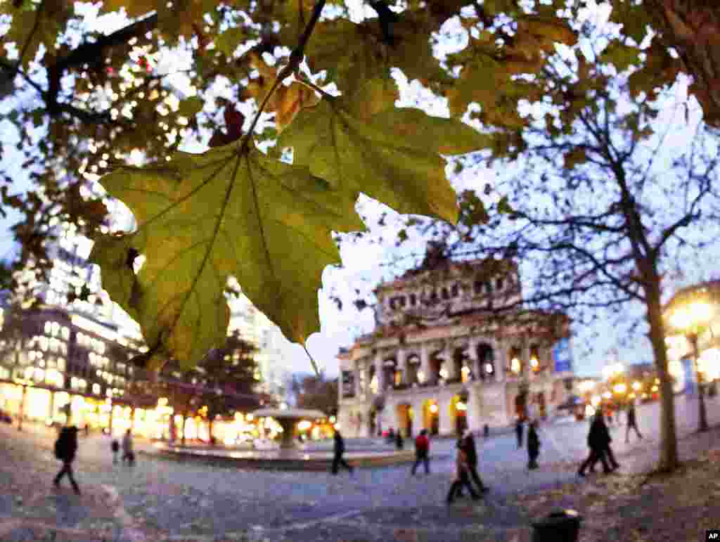 Sisa-sisa daun musim gugur di sebuah pohon depan Lapangan Opera di Frankfurt, Jerman.