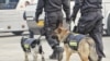 中国政协12届4次会议在北京人民大会堂开幕。特警牵警犬在天安门广场巡逻。(2016年3月3日 美国之音金子莹拍摄)