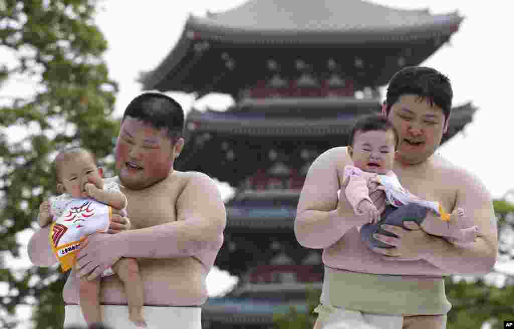 Dua orang bayi menangis saat digendong oleh pegulat sumo mahasiswa, dalam kompetisi Naki Sumo, atau Lomba Bayi Menangis, di kuil Sensoji di Tokyo. Bayi-bayi yang lahir tahun 2012, berpartisipasi dalam ritual tradisional tahunan, sebagai doa agar mereka bisa tumbuh sehat seperti para pesumo.
