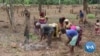 Climate Change to Cause Chaos in Africa, Warn Scientists