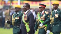 Udaba Esilethulelwe NguMlondolozi Ndlovu