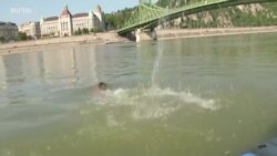 Budapest Touts Swimming in Fast-Flowing Danube River
