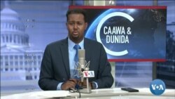Caawa iyo Dunida