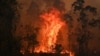 Australia Peringatkan Kebakaran Hutan "Besar"