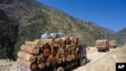 တရုတ်နိုင်ငံသို့ မြန်မာသစ် တင်ပို့မှု