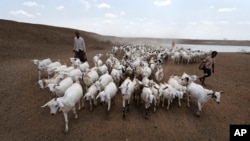 ፋይል
