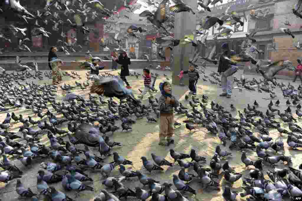 Anak-anak Nepal memberi makan merpati di Lapangan Durbar, Kathmandu.