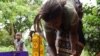 Madalitso Makosa became a teen mother because of Kusasa Fumbi or "removing the dust" tradition which required young girls lose their virginity, often without protection, to become an adult. (L Masina/VOA)