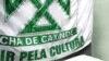 Chá de Caxinde: Uma aposta cultural angolana
