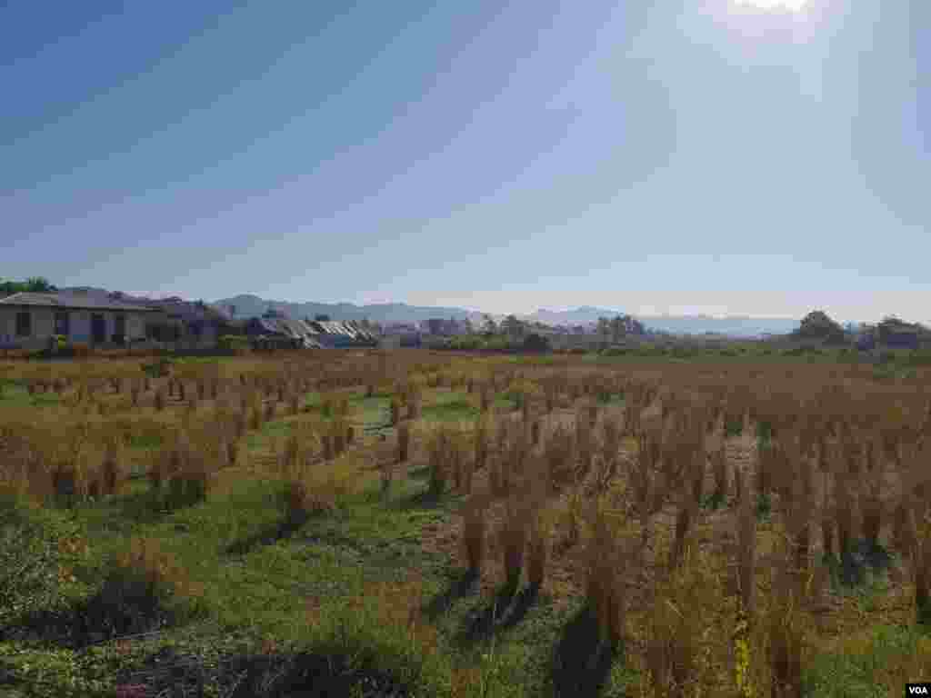 အင်းဒင်ကျေးရွာ မြင်ကွင်း