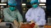 Authorities are taking samples of live poultry from mainland China to test for the H7N9 virus, April 11, 2013. 