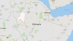 በቤኒሻንጉል መንግሥት "ፀረ ሰላም" ያላቸውን ኃይሎች አሰረ