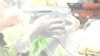 US Military Plans Small, Effective Operations in Africa